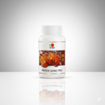 RG 30 DXN Italia Reishi Gano 30 capsule Ganoderma lucidum